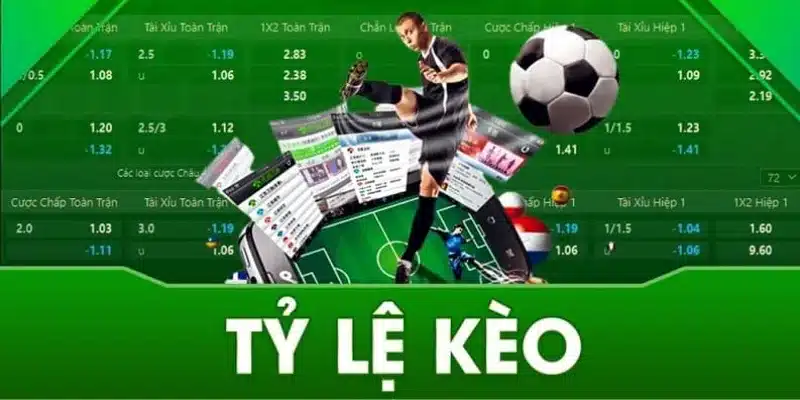 Giải mã tỷ lệ kèo nhà cái - Những điều cần biết Một số yếu tố ảnh hưởng đến tỷ lệ kèo nhà cái