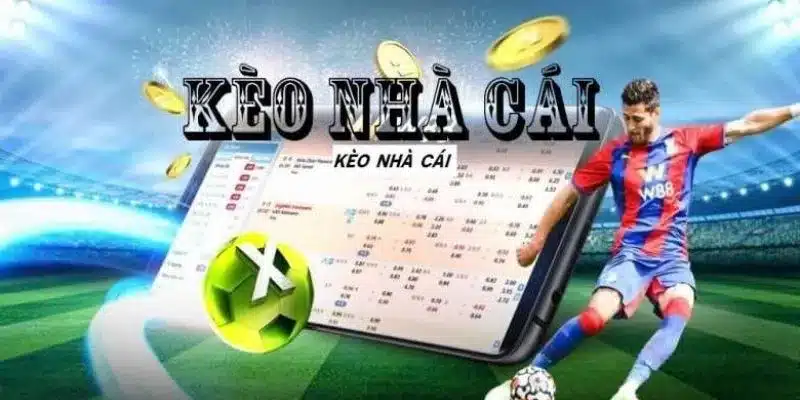 Dự đoán kèo nhà cái hôm nay: Những lựa chọn hấp dẫn Một số lưu ý quan trọng giúp bạn tối ưu cơ hội thắng cược