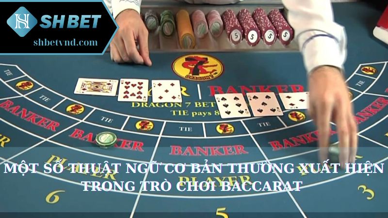 Những chiến lược đánh bài Baccarat Shbet hiệu quả từ cao thủ Một số thuật ngữ cơ bản thường xuất hiện trong trò chơi Baccarat